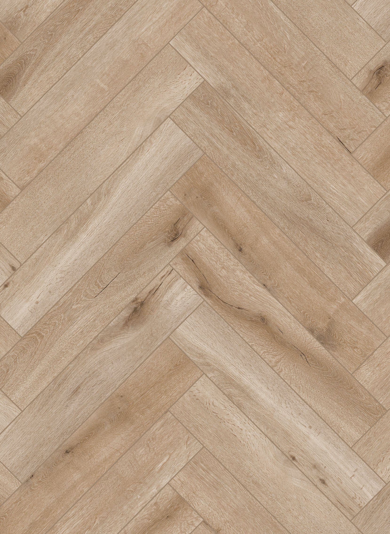 Callisto Visgraat 4201 146 x 73 - medium